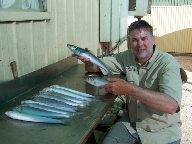 Bag limit of Whiting